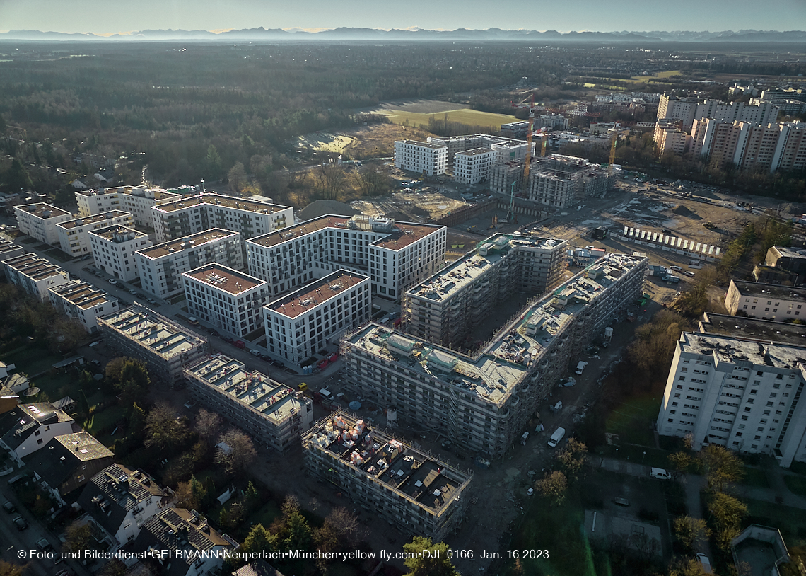 16.01.2023 - Alexisquartier und Pandion Verde